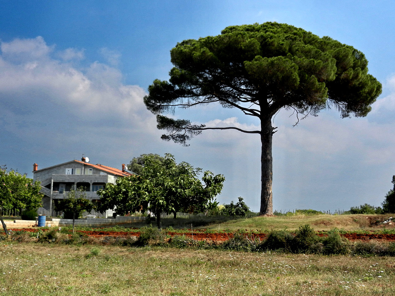 Cervar-porat
